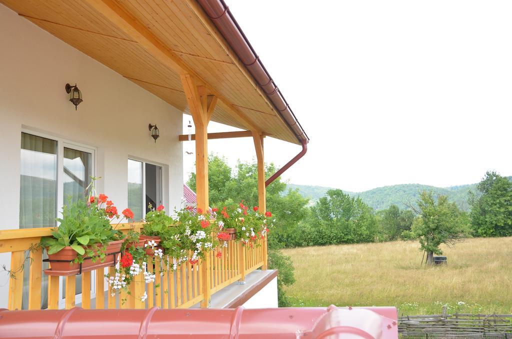 Pensiunea Poezii Alese Valea Draganului Exterior photo